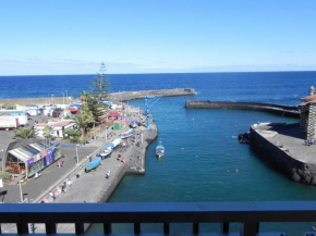 The fishing harbour Puerto de la Cruz